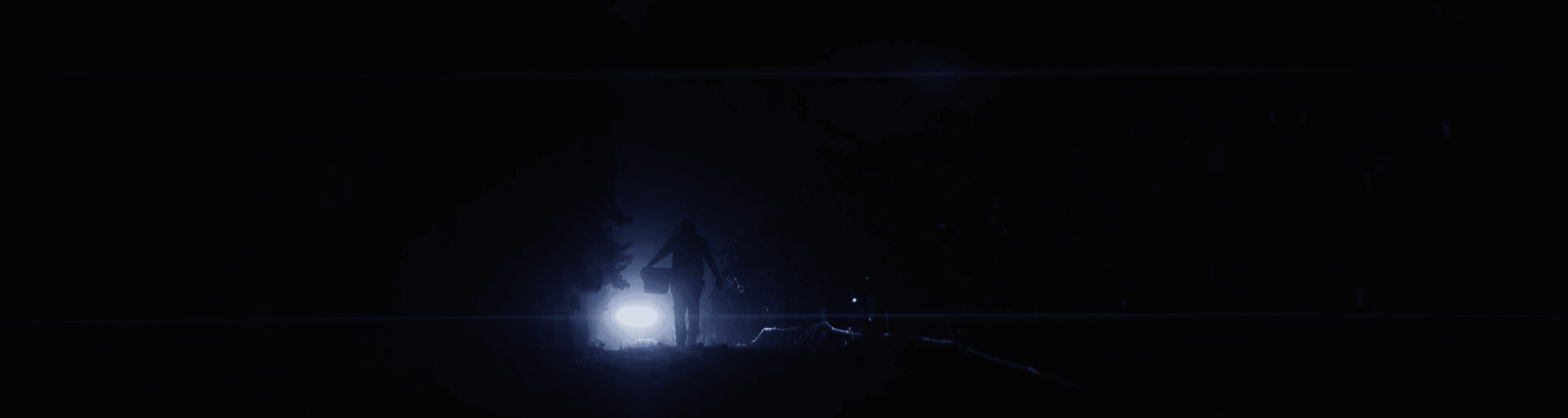 Diamond T Ranch - Worker with headlamp during night harvest at Diamond T Ranch
